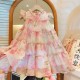 Pink Floral Sparkle Dress