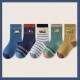 Vehicle Winter Socks