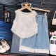 White Beautiful Embroidery Top Set Denim Lace Pants