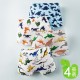 4pcs Colorful Dinosaurs Boxer