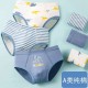 3pcs Blue Dinosaurs Underwear