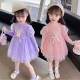 Purple Bunny Puffy Sparkle Dress