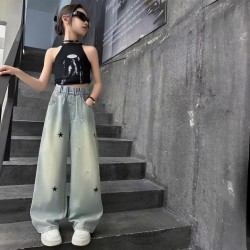 Blue Stars Embroidery Denim Pants