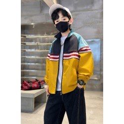 Black Yellow Jacket