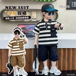 Brown Stripe Pocket set Cargo Short
