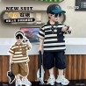 Brown Stripe Pocket set Cargo Short