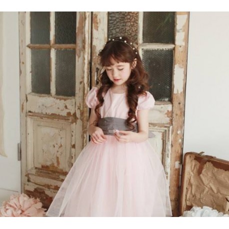 Phelfish Softpink Tutu Dress