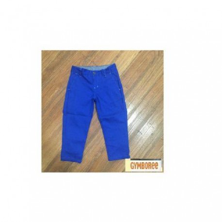 Gymboree Blue Pants