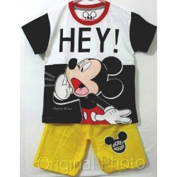 Mickey Hey Set