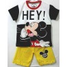 Mickey Hey Set